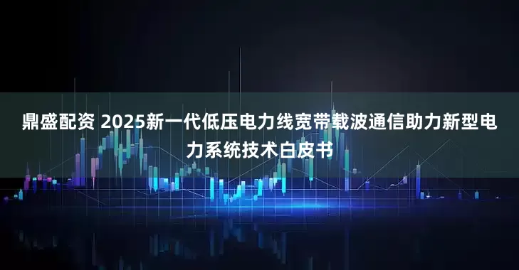 鼎盛配资 2025新一代低压电力线宽带载波通信助力新型电力系统技术白皮书