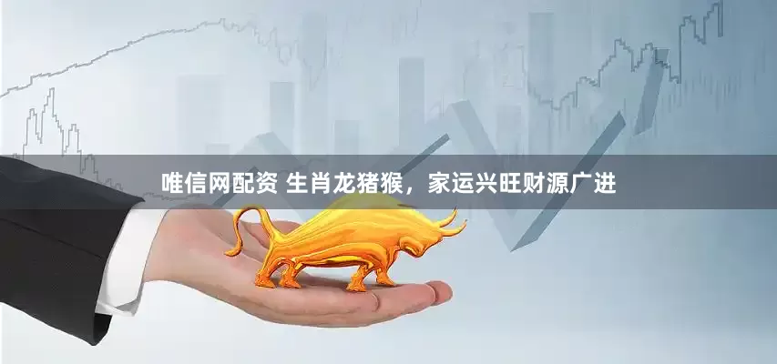 唯信网配资 生肖龙猪猴，家运兴旺财源广进